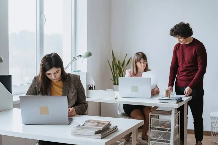 A small team working at laptops in a bright office